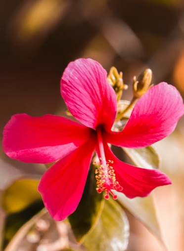 Website (372 × 508px)