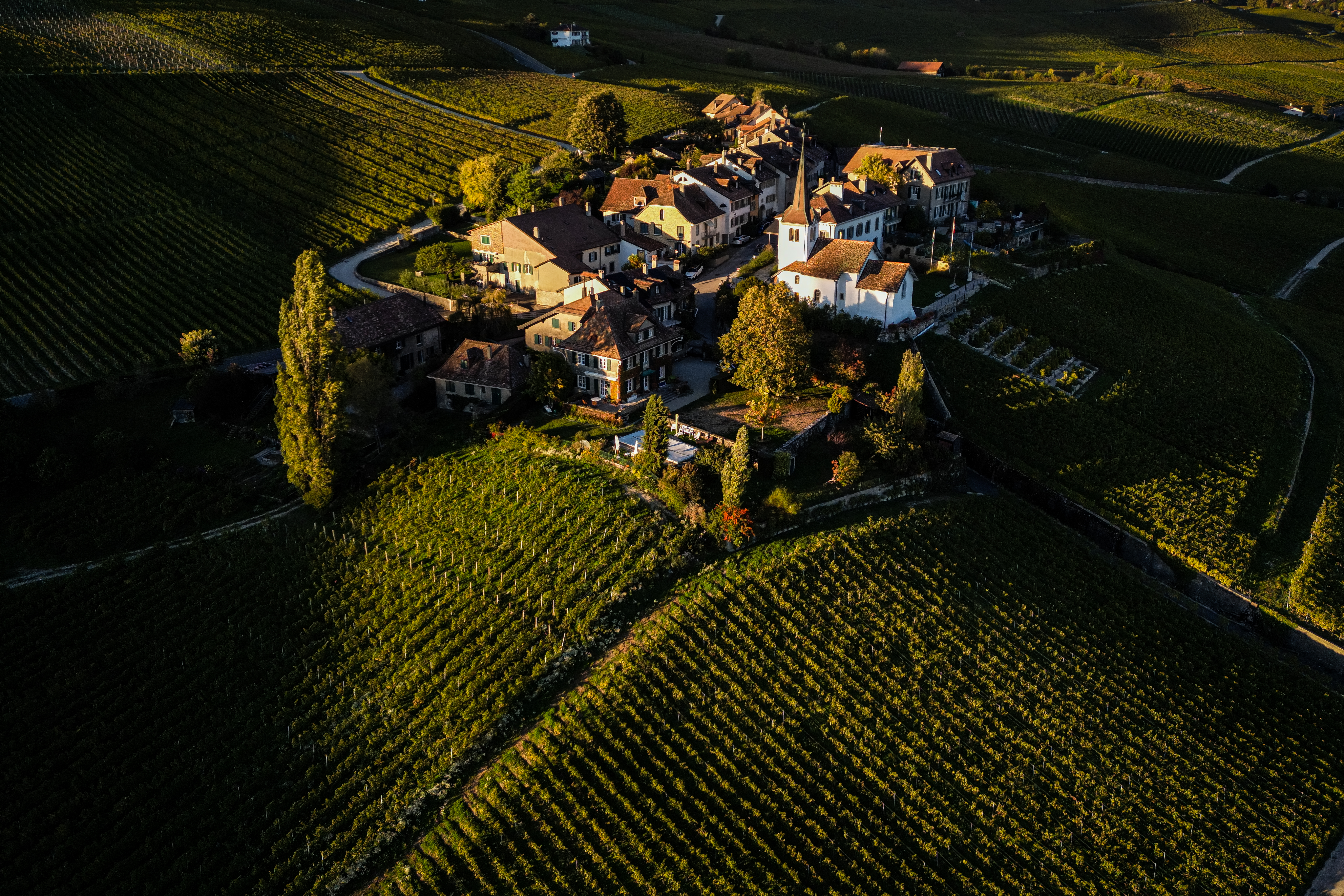 2022_10_05_DomaineLaCollombe_254 par Marc Ducrest