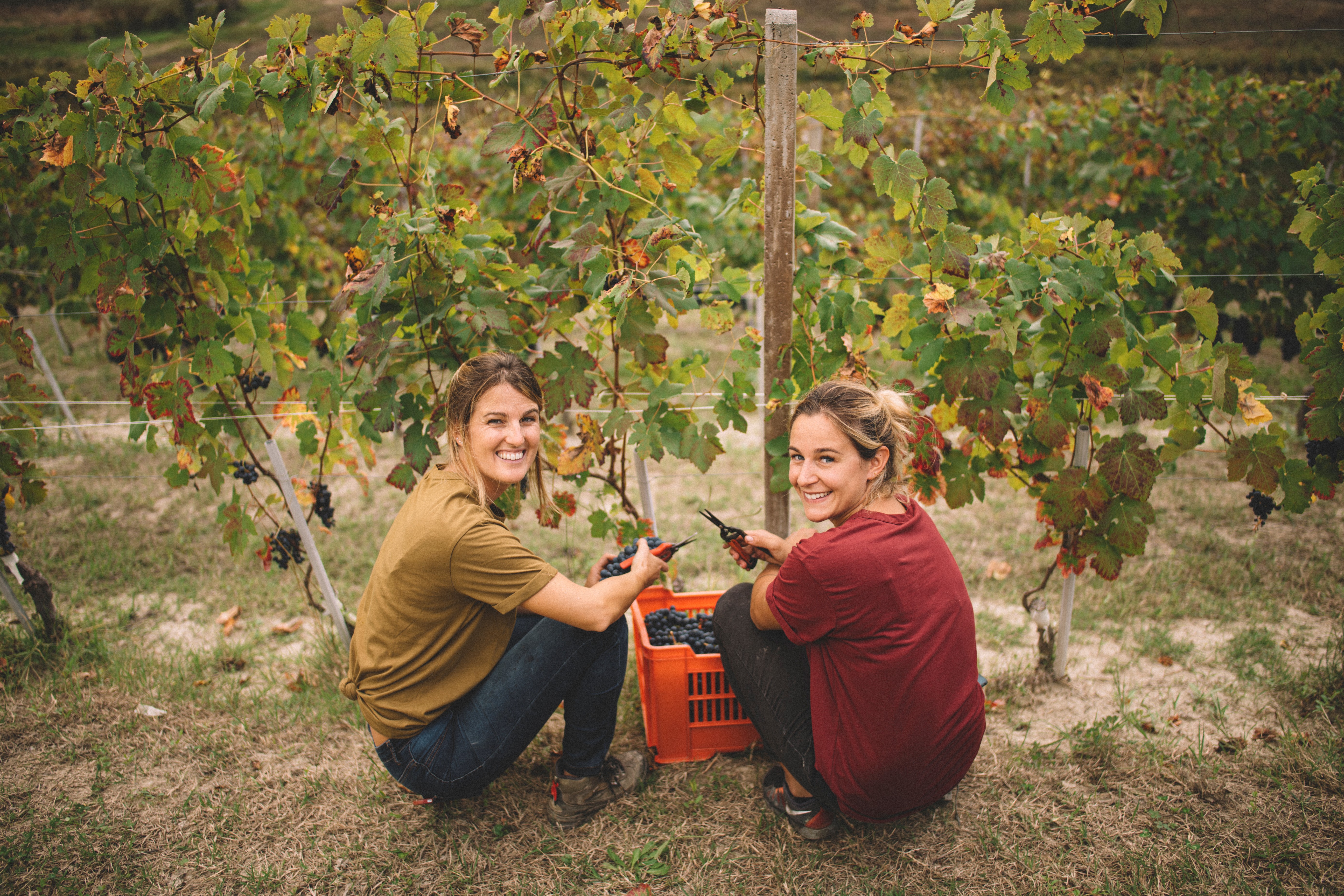 Lara and Luisa, Cantina Lalù