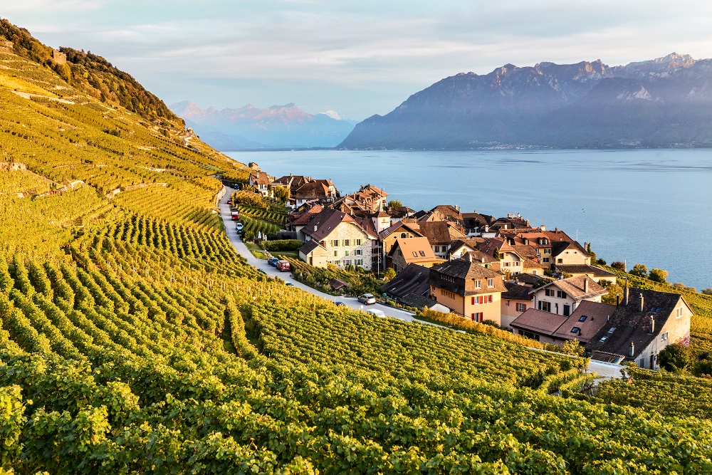 Lavaux2017(c)MaudeRion-84